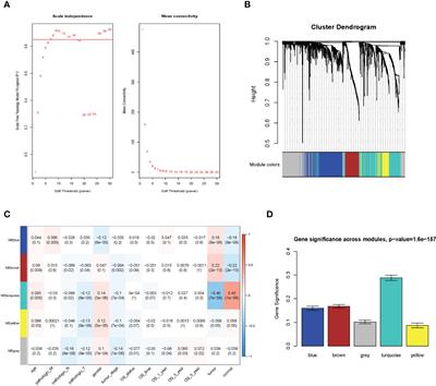 A new immune signature for survival prediction and immune checkpoint molecules in non-small cell lung cancer